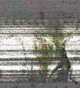     NOAA 18 