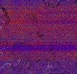     NOAA 18 