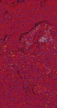     NOAA 18 
