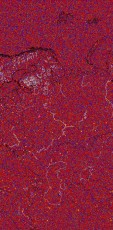     NOAA 18 