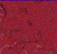     NOAA 18 
