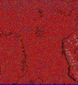     NOAA 18 