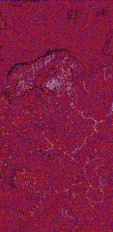     NOAA 18 