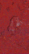     NOAA 18 