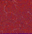     NOAA 18 