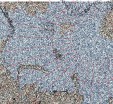     NOAA 18 