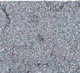     NOAA 18 