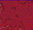     NOAA 18 