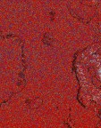     NOAA 18 