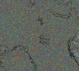     NOAA 18 