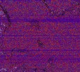     NOAA 18 