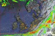     NOAA 19 