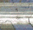     NOAA 19 