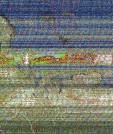     NOAA 19 