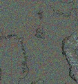     NOAA 19 