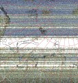     NOAA 19 