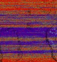     NOAA 19 