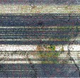     NOAA 19 