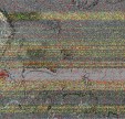     NOAA 19 