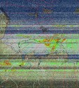     NOAA 19 