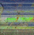     NOAA 19 