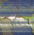     NOAA 19 