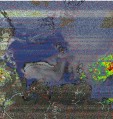     NOAA 19 