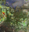     NOAA 19 