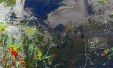     NOAA 19 