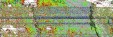     NOAA 19 