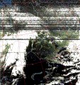     NOAA 19 