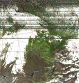     NOAA 19 