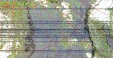     NOAA 19 