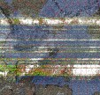     NOAA 19 