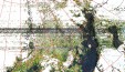     NOAA 19 