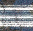     NOAA 19 