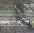     NOAA 19 