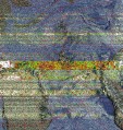    NOAA 19 