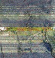    NOAA 19 