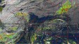     NOAA 19 