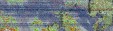     NOAA 19 