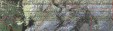     NOAA 19 