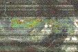     NOAA 19 
