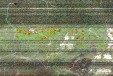     NOAA 19 