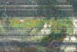     NOAA 19 