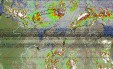     NOAA 19 