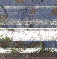     NOAA 19 