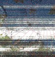     NOAA 19 