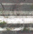     NOAA 19 