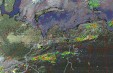     NOAA 19 